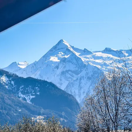 Alpina - Zell Am