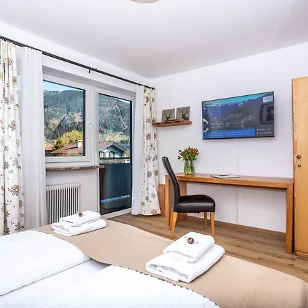 Apartment Alpina Apartments - Zell Am See - Air Condition *