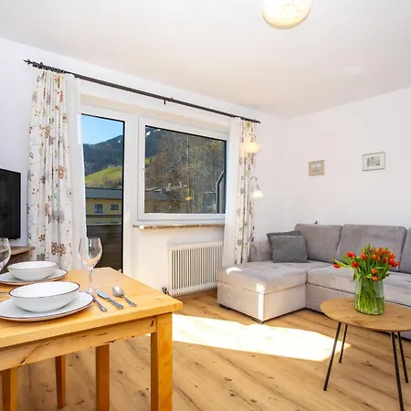 Alpina Apartments - Zell Am See - Air Condition Apartment