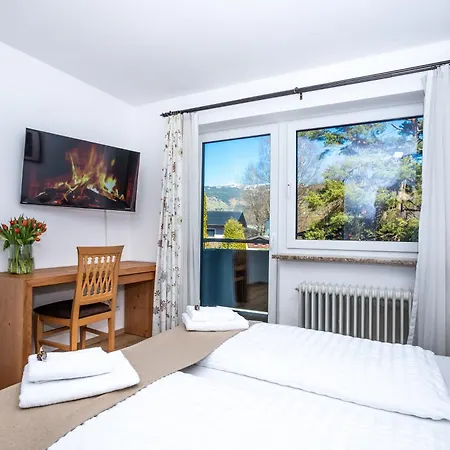 Appartement Alpina - Zell Am *