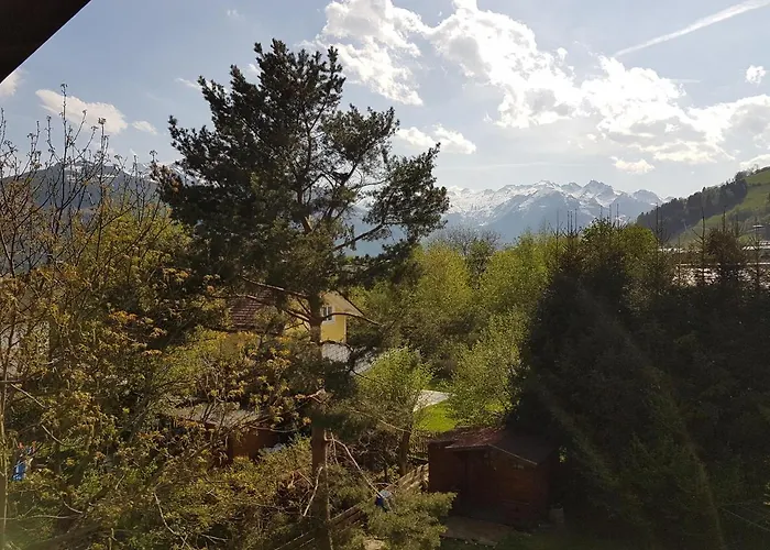 Alpina - Zell Am 公寓