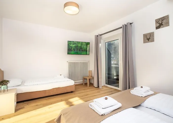 Alpina Apartments - Zell Am See * Zell am See