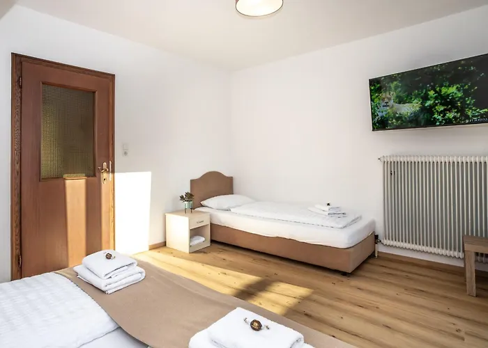 Alpina Apartments - Zell Am See