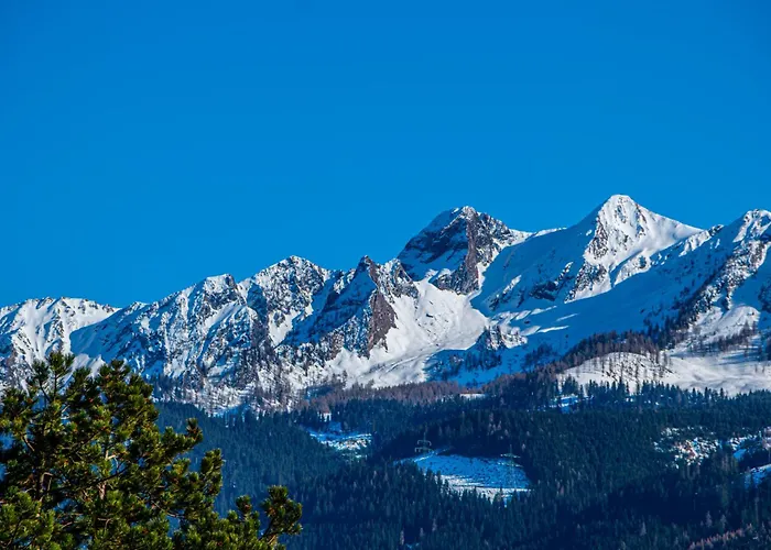 Alpina Apartments - Zell Am See Zell am See