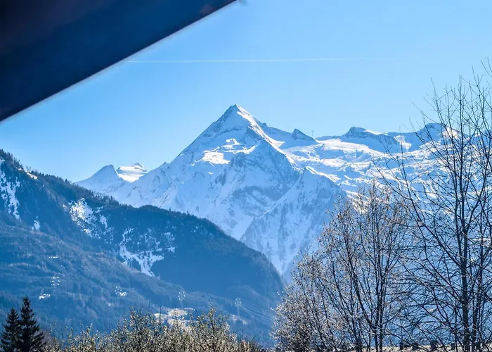 Alpina Apartments - Zell Am See