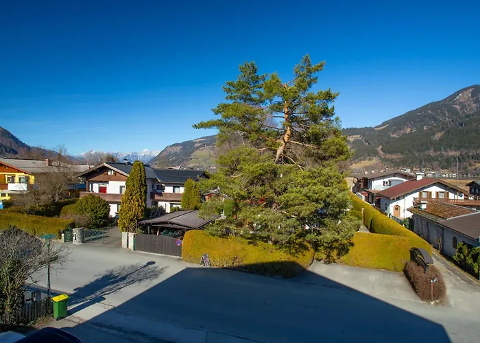 Alpina - Zell Am 公寓