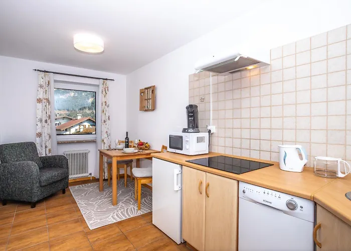 Apartment Alpina Apartments - Zell Am See