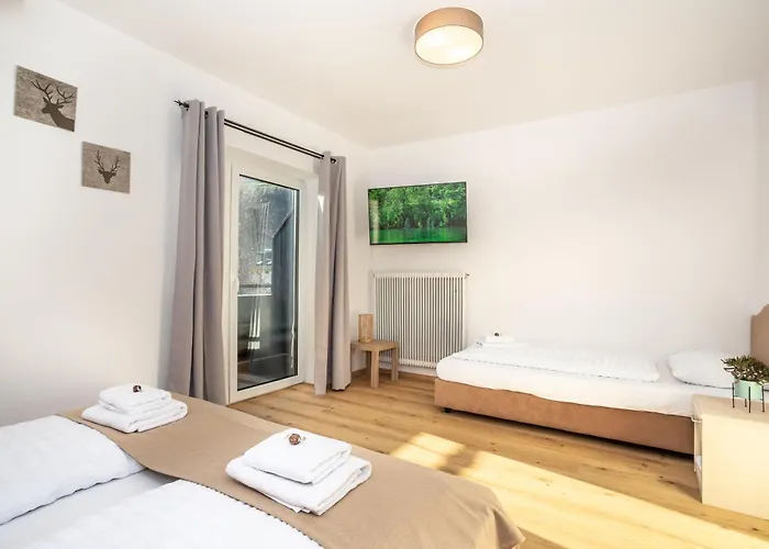 Alpina Apartments - Zell Am See *