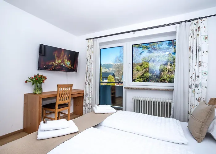 Apartment Alpina Apartments - Zell Am See *